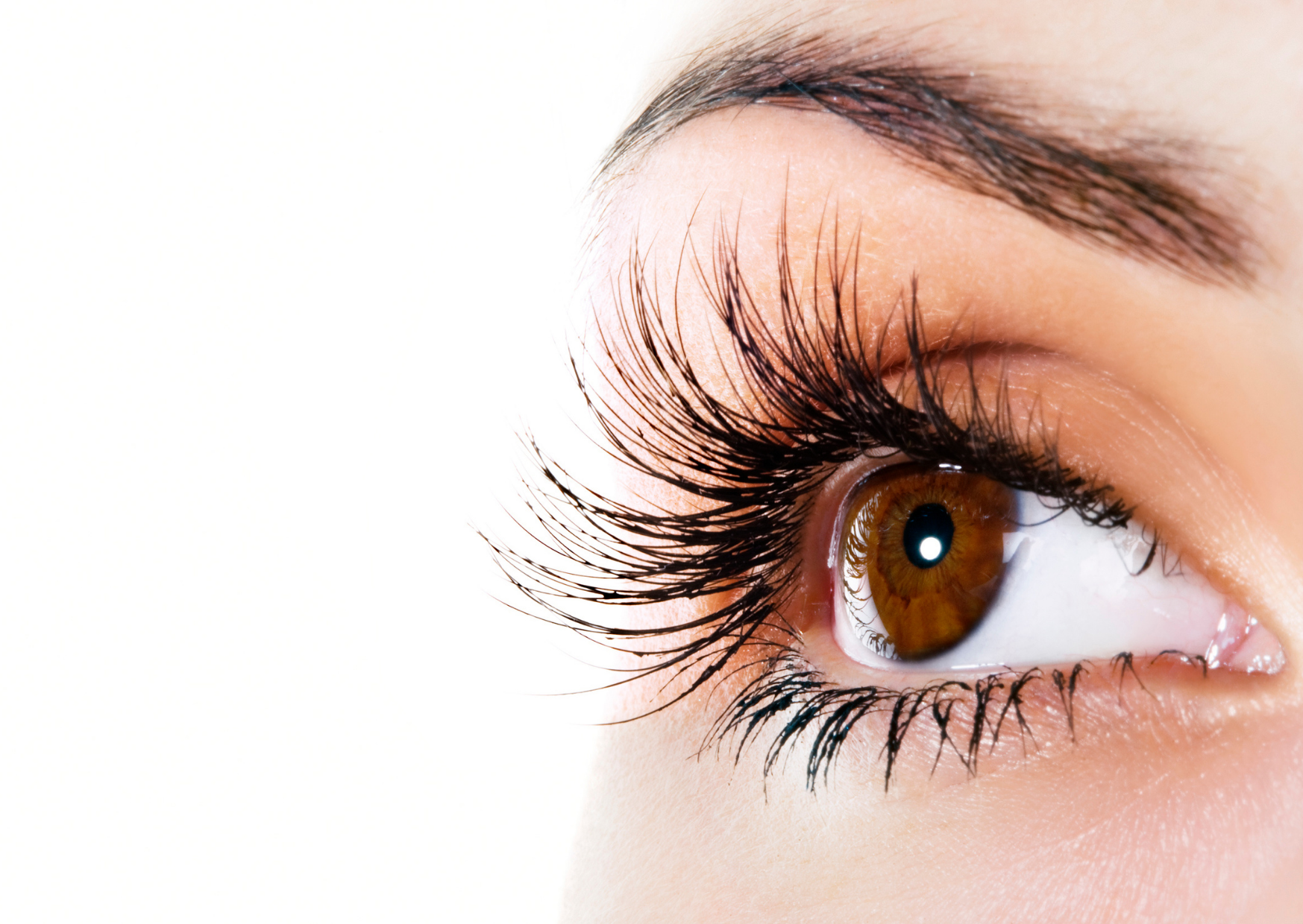 beste wimperserum