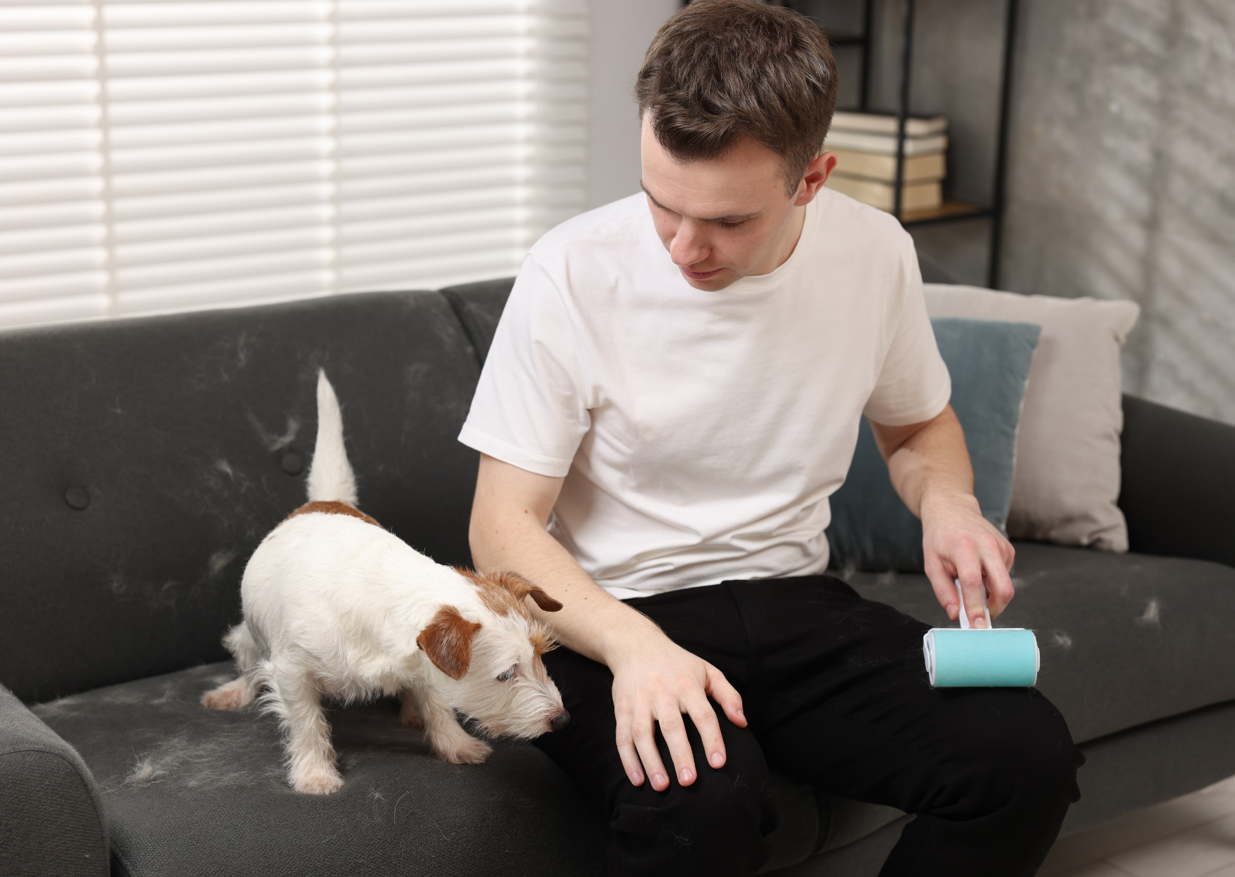 huisdierhaar verwijderaar